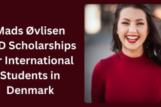 Mads Øvlisen PhD Scholarships for International Students in Denmark