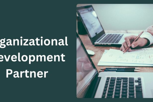 Organizational Development Partner
